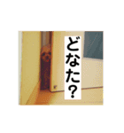 我が家の次女♡♥︎♡Part2（個別スタンプ：1）