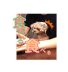 我が家の次女♡♥︎♡Part2（個別スタンプ：2）