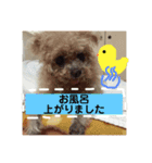 我が家の次女♡♥︎♡Part2（個別スタンプ：7）