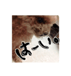 我が家の次女♡♥︎♡Part2（個別スタンプ：8）