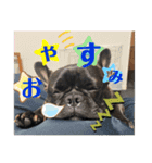 フレブルぼすこと牧場の仲間達（個別スタンプ：3）