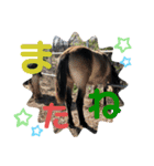 フレブルぼすこと牧場の仲間達（個別スタンプ：12）