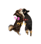 ちゅちゅ＆ちょこ（個別スタンプ：3）