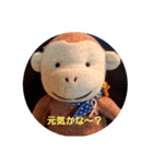 もん吉2004（個別スタンプ：1）