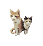 ツキヤヤ（個別スタンプ：2）
