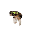 ツキヤヤ（個別スタンプ：3）