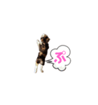 ツキヤヤ（個別スタンプ：5）