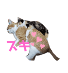 ツキヤヤ（個別スタンプ：8）