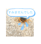 基本的なあいさつ(サワガニ)（個別スタンプ：4）