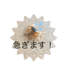 基本的なあいさつ(サワガニ)（個別スタンプ：8）