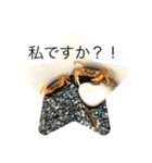 基本的なあいさつ(サワガニ)（個別スタンプ：13）