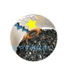基本的なあいさつ(サワガニ)（個別スタンプ：16）