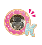 チンチラのトトロくん（個別スタンプ：2）