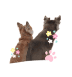 ちょこび！（個別スタンプ：3）