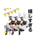 渚です（個別スタンプ：1）