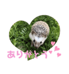 雲丹丸とMilly（個別スタンプ：10）