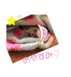 雲丹丸とMilly（個別スタンプ：12）