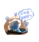 雲丹丸とMilly（個別スタンプ：14）