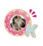 borzoi _angy（個別スタンプ：6）