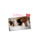 にゃんこ×3=ぴョコ（個別スタンプ：3）