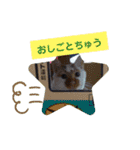 にゃんこ×3=ぴョコ（個別スタンプ：12）