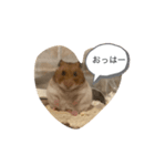 すもちゃんの1日（個別スタンプ：2）
