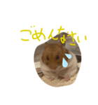 すもちゃんの1日（個別スタンプ：6）