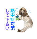 おてんばコッカー もも（個別スタンプ：19）
