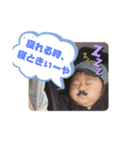 あきゅん（個別スタンプ：3）