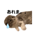 こねこのししゃも（個別スタンプ：12）