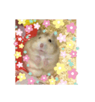 プリン4（個別スタンプ：3）