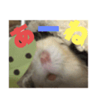 プリン4（個別スタンプ：6）