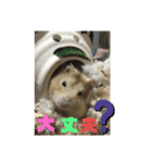 プリン4（個別スタンプ：7）