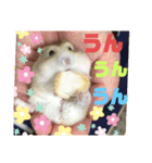プリン4（個別スタンプ：12）