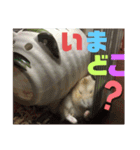 プリン4（個別スタンプ：17）
