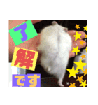 プリン4（個別スタンプ：27）