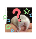 プリン4（個別スタンプ：29）