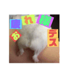 プリン4（個別スタンプ：30）