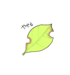 表情が乏しい生き物たち3（個別スタンプ：11）