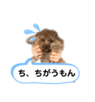 我が家のトイプ1（個別スタンプ：7）