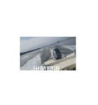 ウェイク＆サーフィン＆ジェット（個別スタンプ：8）