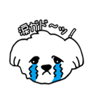 うちのクリン！（個別スタンプ：5）