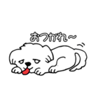 うちのクリン！（個別スタンプ：13）
