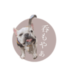 ヨーダvol5 〜宮崎弁〜（個別スタンプ：1）