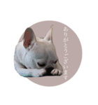 ヨーダvol5 〜宮崎弁〜（個別スタンプ：2）