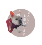 ヨーダvol5 〜宮崎弁〜（個別スタンプ：3）