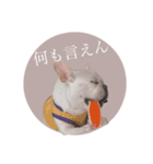 ヨーダvol5 〜宮崎弁〜（個別スタンプ：8）