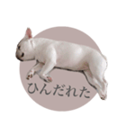 ヨーダvol5 〜宮崎弁〜（個別スタンプ：9）