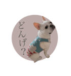 ヨーダvol5 〜宮崎弁〜（個別スタンプ：11）