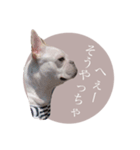 ヨーダvol5 〜宮崎弁〜（個別スタンプ：14）